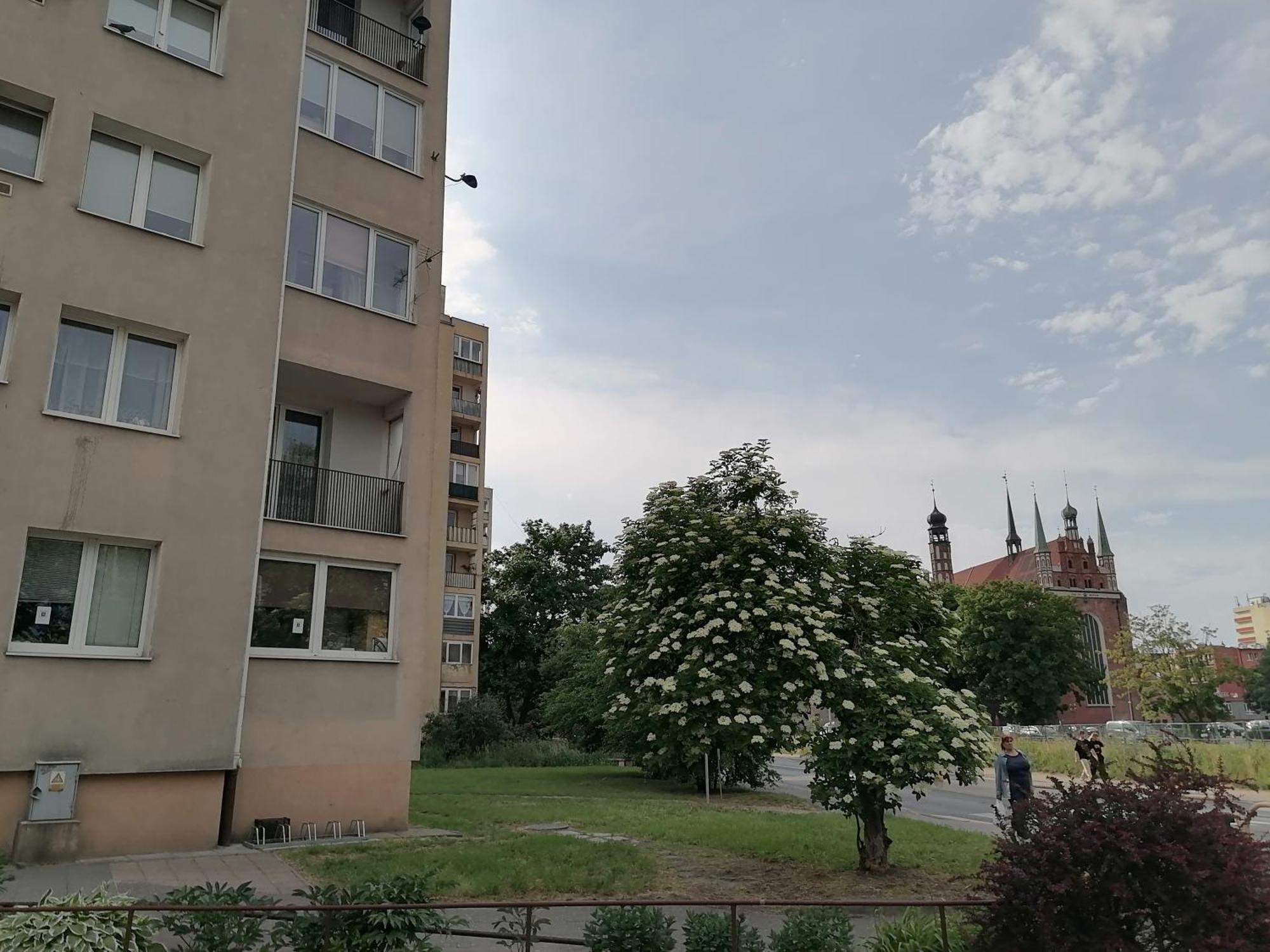 Apartament Torunska — Photos 1